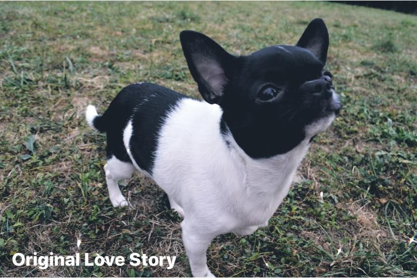 Pink lady  duchateau Original Love Story