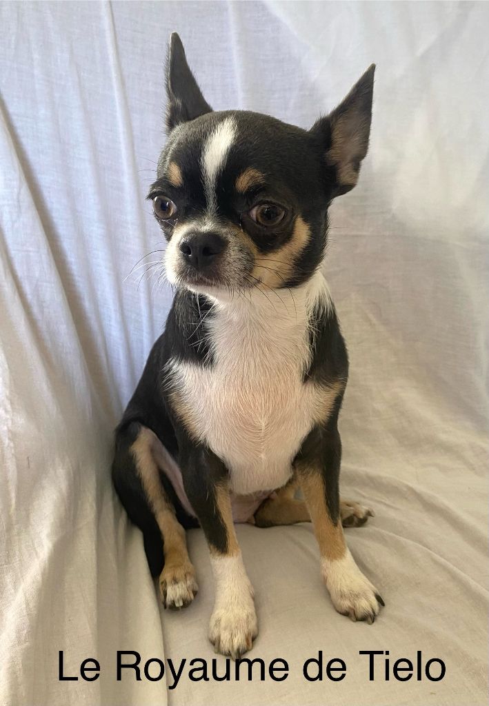 Tessa princesse du Royaume De Tielo